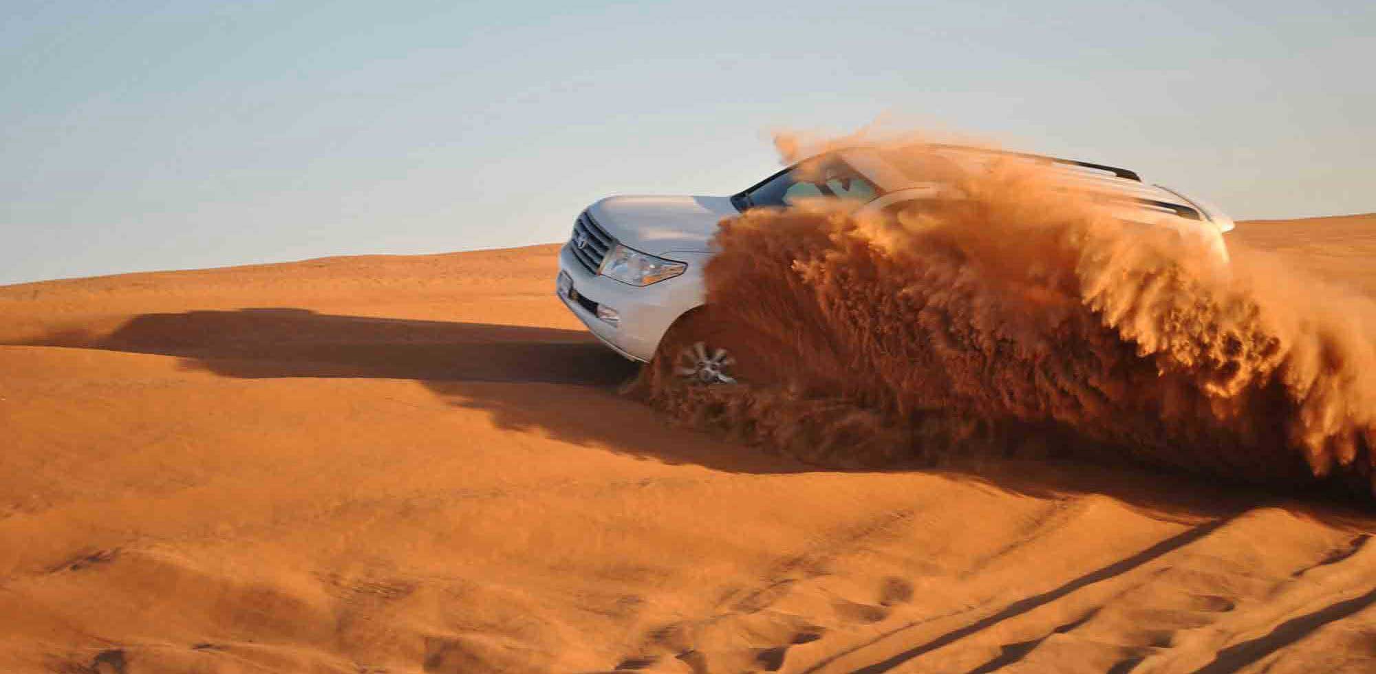 Arabian Desert Safari with 20 mins Buggy